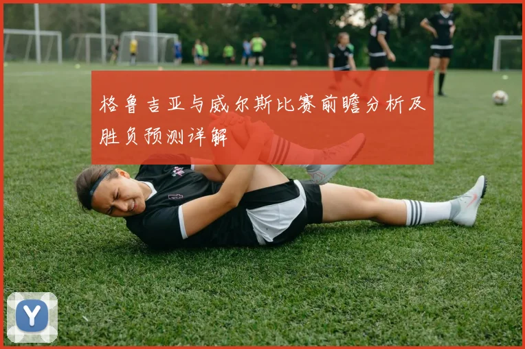 格鲁吉亚与威尔斯比赛前瞻分析及胜负预测详解