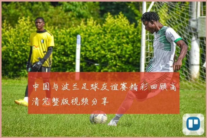 中国与波兰足球友谊赛精彩回顾高清完整版视频分享