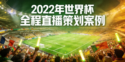 2022年世界杯全程直播策划案例 - 球场全景与观众欢呼