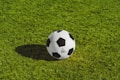 国际足球联合会FIFA官方Logo合作伙伴